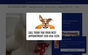 City Pet Grooming website