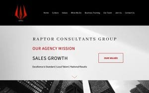 Raptor Consultants Group