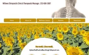 Dr. Door website