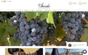 Sarah's Vineyard