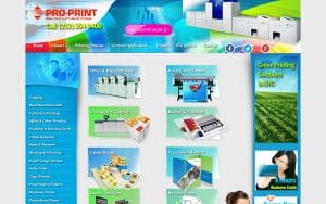 Pro-Print Business Center