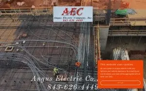 Angus Electric website