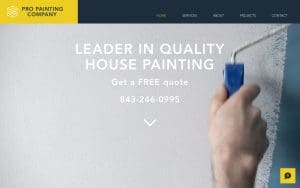 Pro Painting Company