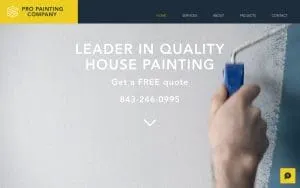 Pro Painting Company of Myrtle Beach website