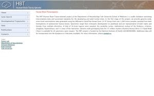 Human Brain Transcriptome