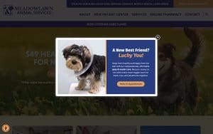 Meadowlawn Animal Services at Myrtle Beach