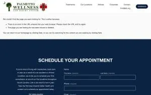 Palmetto Wellness & Injury Center of Myrtle Beach website