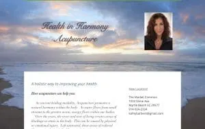 Health in Harmony Acupuncture website