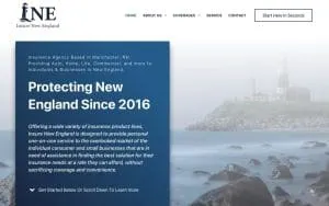 Insure New England website