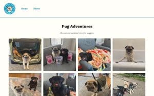 Truly Pawesome - A Dog Walking and Pet Sitting Company