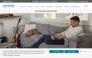 Lovesac of Ann Arbor website