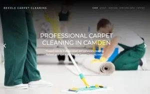 Beedle Carpet Cleaning website