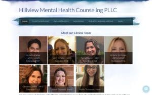 Hillview Mental Health Counseling PLLC