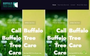 Buffalo Tree Care LLC