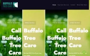 Buffalo Tree Care LLC website
