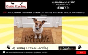 Canine Coaching