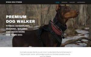 Nyack Dog Fitness