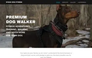 Nyack Dog Fitness website