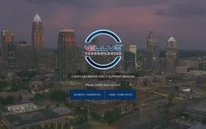 Vellve Systems website