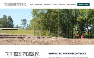 True Line Surveying