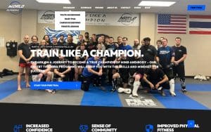 World Kickboxing Academy