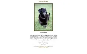 The Dog Trainer website