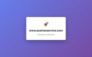 Ace Tree & Landscaping Service