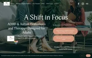 A Shift in Focus website