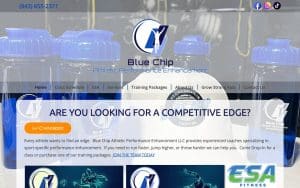 Blue Chip Athletic Performance Enhancement LLC