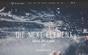 The Next Element Academy
