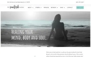 The Soulfish Center website