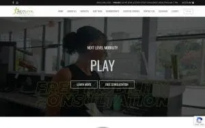Next Level Mobility website
