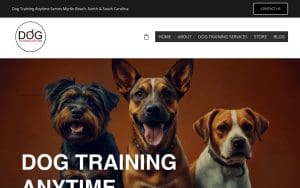 Dog Training Anytime