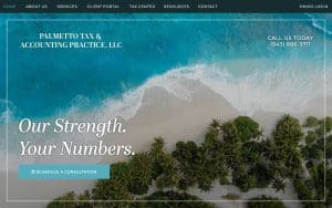 palmetto tax & accounting
