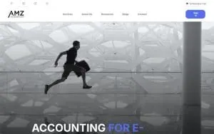Amz Accountant LLC website
