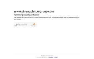 Pineapple Tour Group