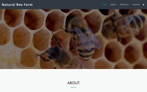 Beekeeping Equipment for Sale