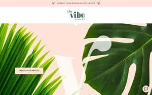 The VIBE on Spring website