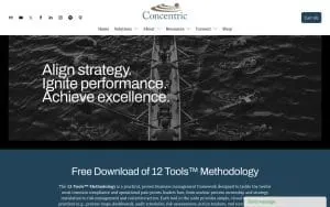 Concentric Global website