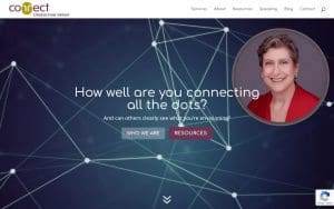 Connect Consulting Group LLC