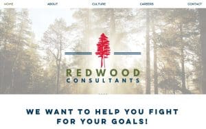 Redwood Consultants Inc.