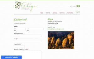 Align Consulting Firm