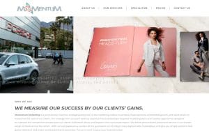 Momentum Marketing