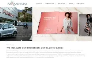 Momentum Marketing of Charleston website