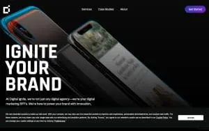 Digital Ignite website