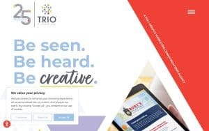 Trio Solutions Inc. (TRIO)