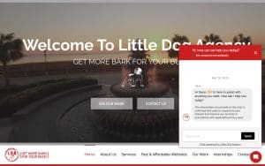 Little Dog Agency