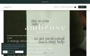 Ambrose Marketing - NYC website
