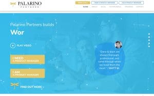 Palarino Partners LLC