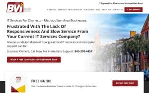 BuenaVista Information Systems